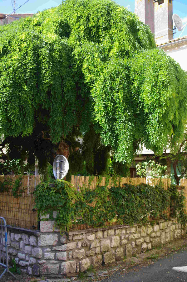 gîte de vacances à Villeréal avec jardin