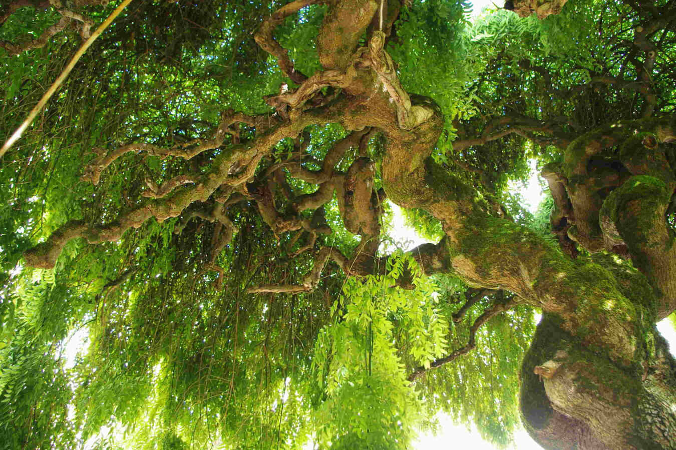 gîte de vacances à Villeréal avec jardin